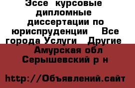 Эссе, курсовые, дипломные, диссертации по юриспруденции! - Все города Услуги » Другие   . Амурская обл.,Серышевский р-н